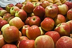 Elégedetlenkedő „almások”