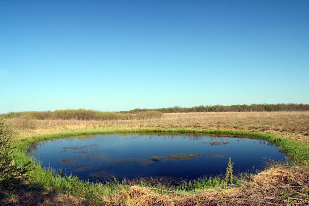 Green recommendation for farmers who choose the ecological farming program