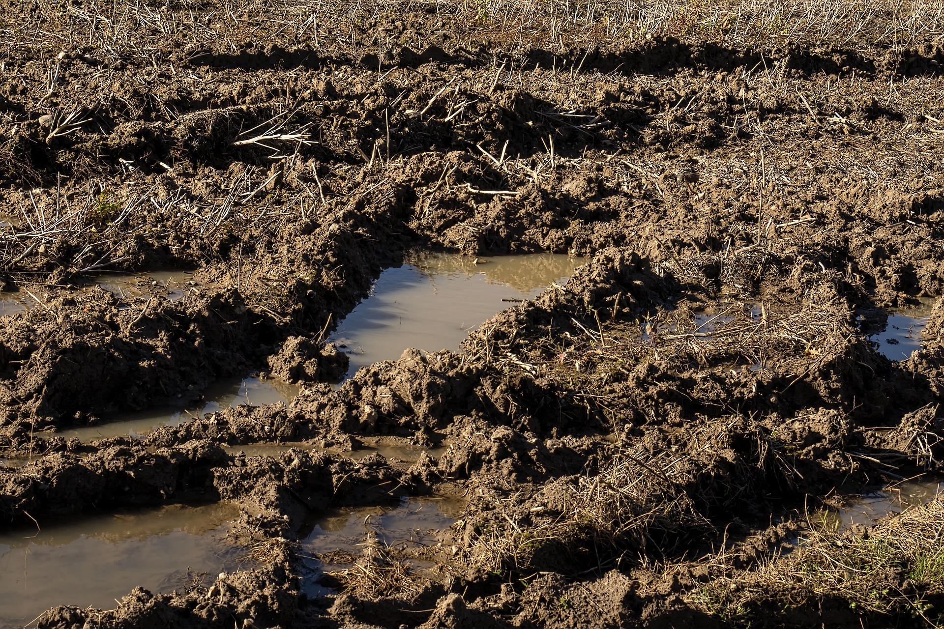Усталая мокрую землю. Переувлажненные почвы. Мокрая почва. Поле грязь. Иловая почва.