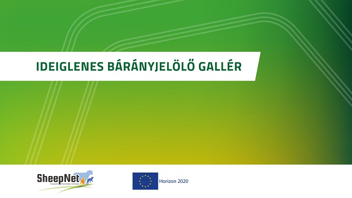 Ideiglenes bárányjelölő gallér