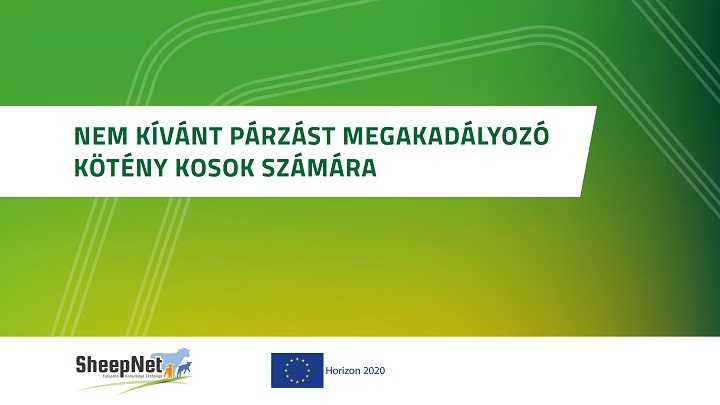 Nem kívánt párzást megakadályozó kötény kosok számára