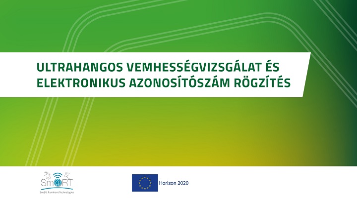 Ultrahangos vemhességvizsgálat és elektronikus azonosítószám rögzítés