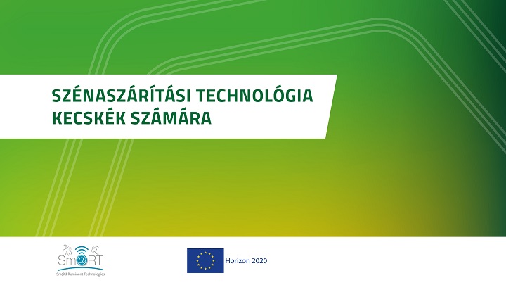 Szénaszárítási technológia kecskék számára