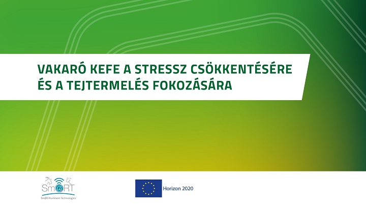 Vakaró kefe a stressz csökkentésére és a tejtermelés fokozására