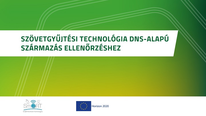 Szövetgyűjtési technológia DNS-alapú származás ellenőrzéshez