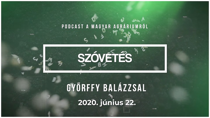 Aszály vs gabonatermesztés:beszélgetés Petőházi Tamással, az ágazat szakértőjével