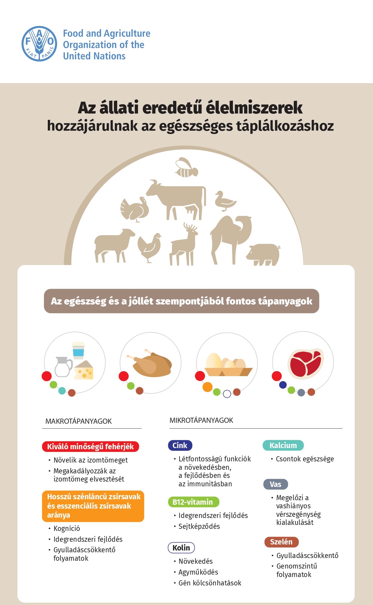 Tájékoztató Az állati eredetű élelmiszerek egészséges táplálkozásukhoz való hozzájárulásáról 2023