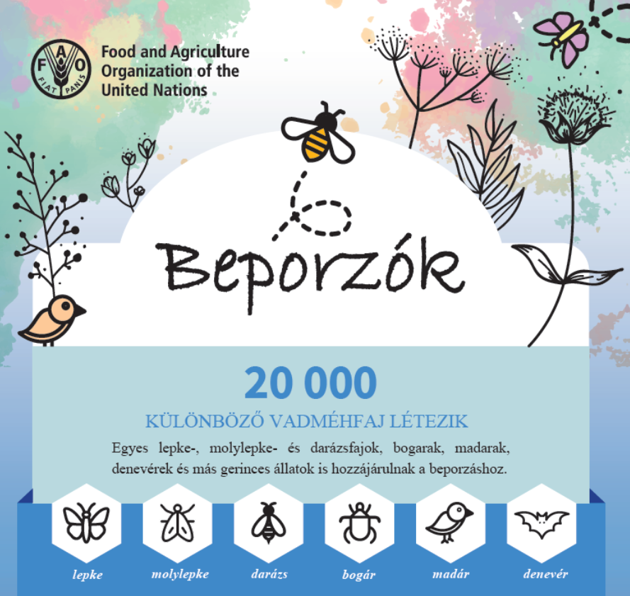 Tájékoztató A beporzókról 2024