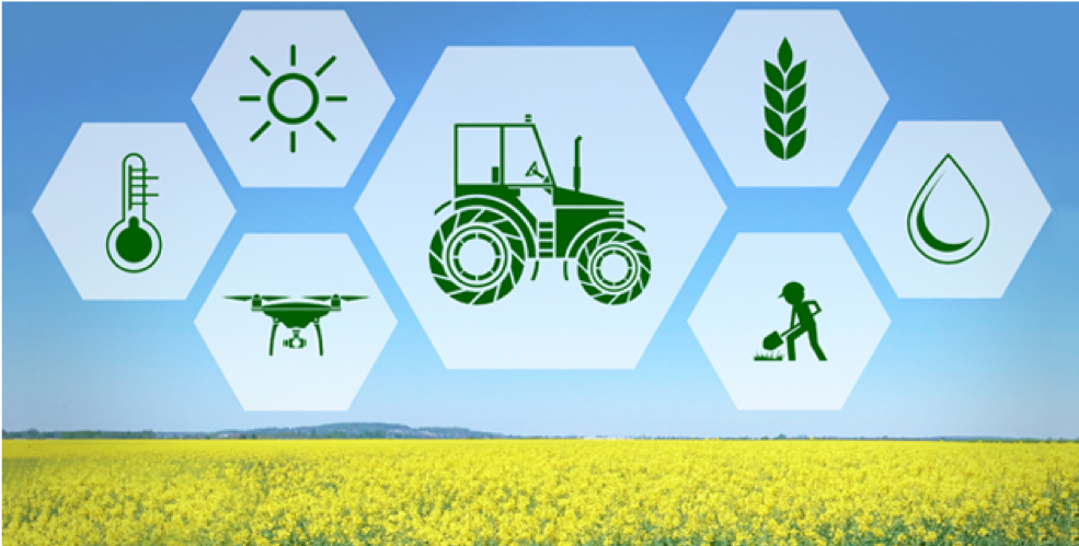 19 Digitális szolgáltatások a mezőgazdaságban
