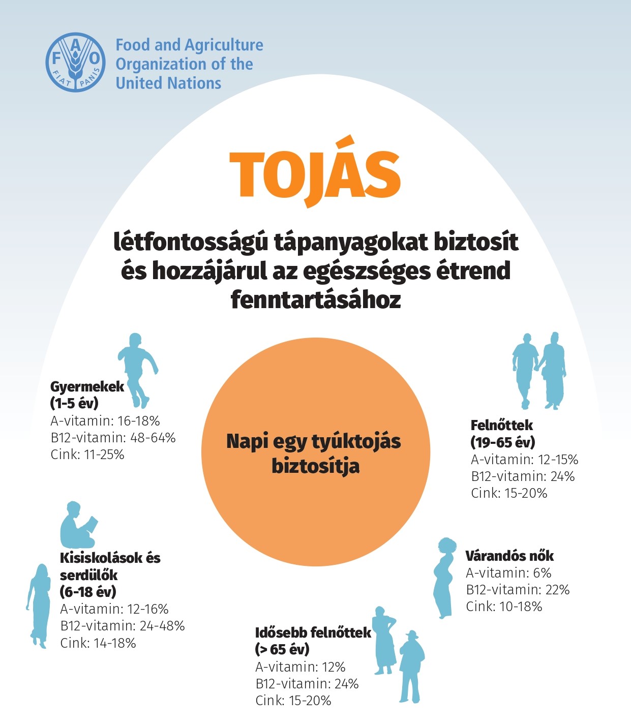 Tájékoztató Az egészséges étrend fenntartásához hozzájáruló tojásról 2023